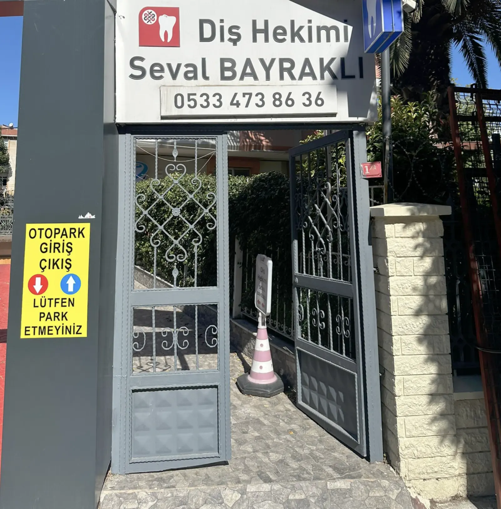 Dt. Seval Bayrakli