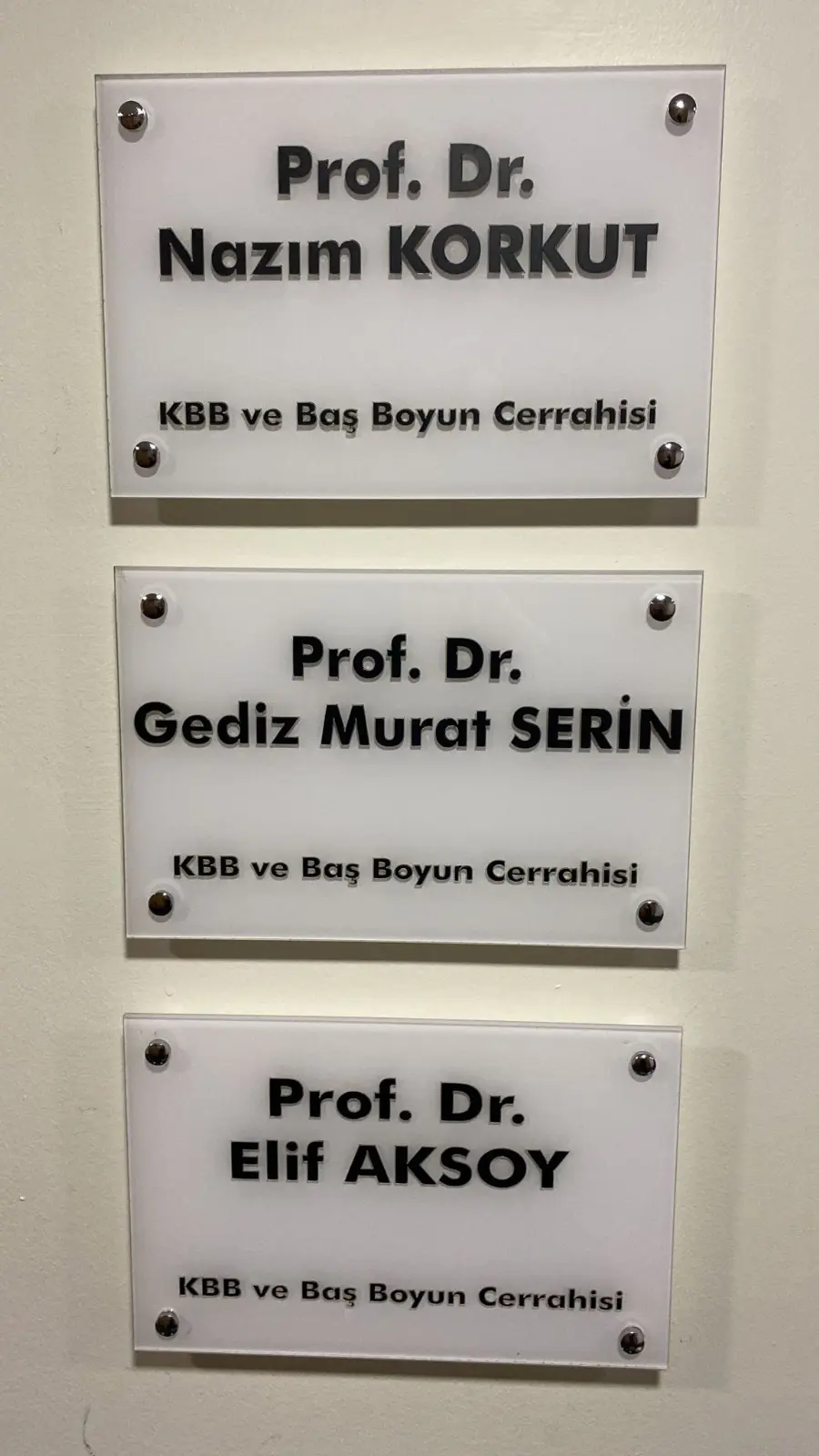 Prof. Dr. Gediz Murat Serin