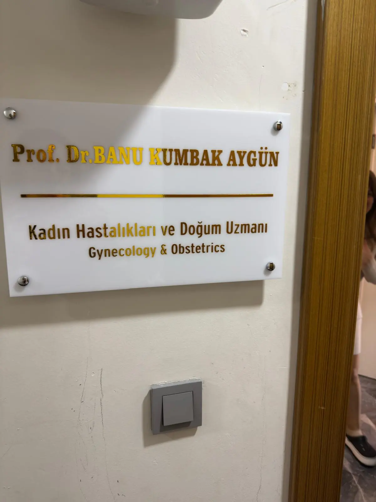 Prof. Dr. Banu Kumbak Aygün