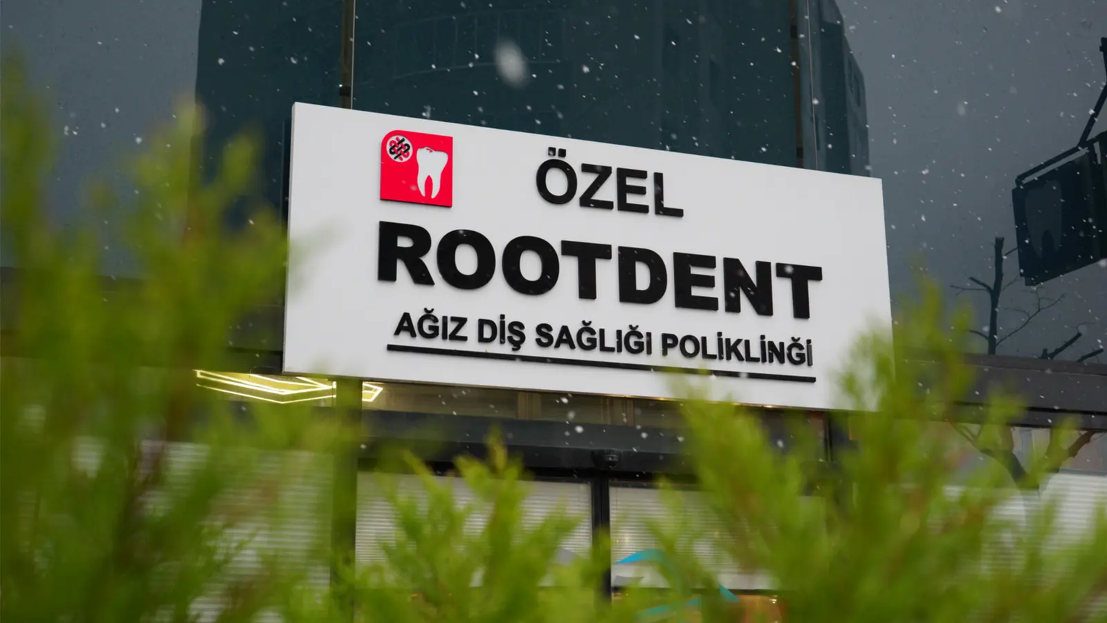 Rootdent