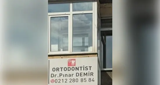 Dr Pinar Demir