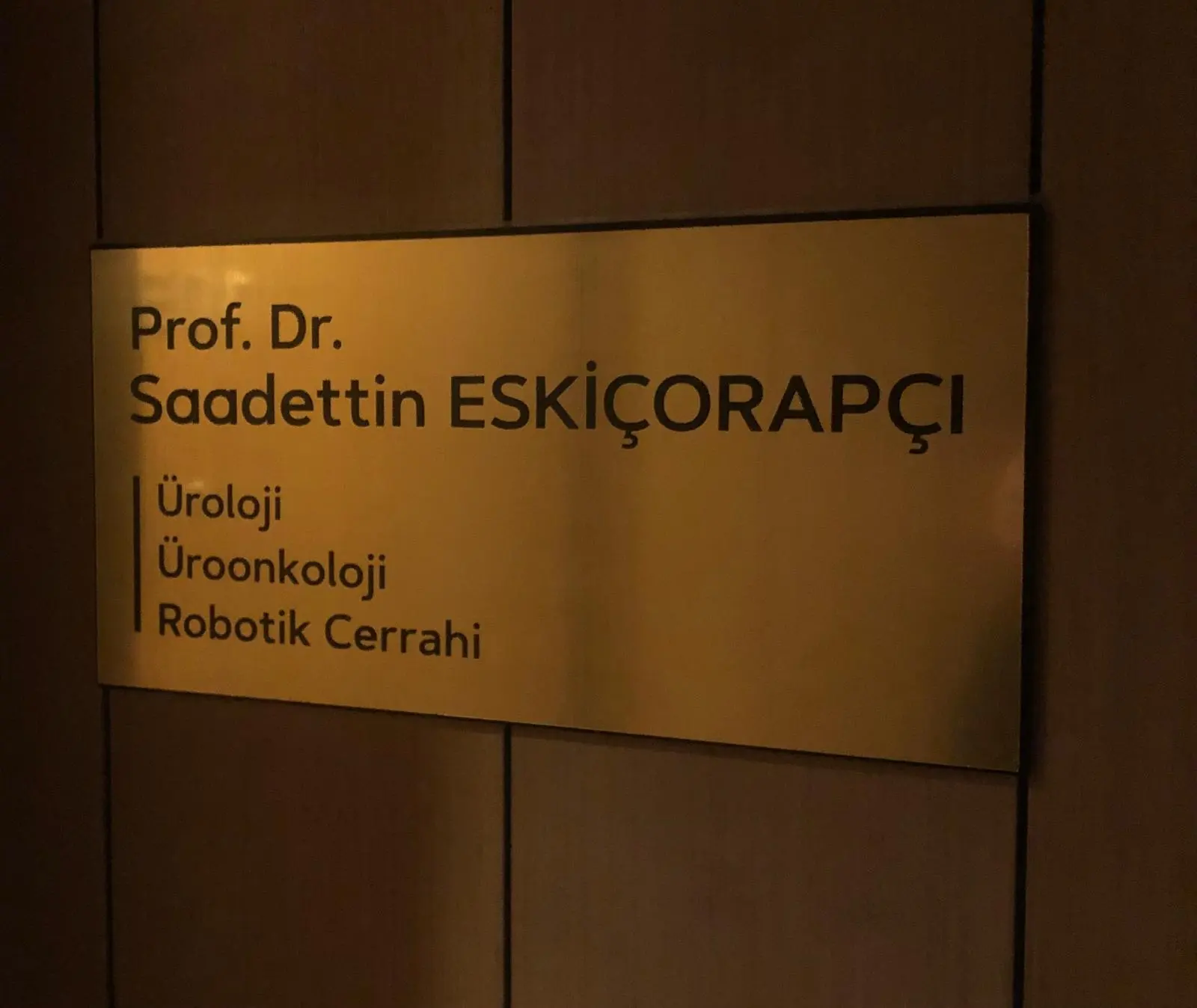 Prof. Dr. Saadettin Eskiçorapçı