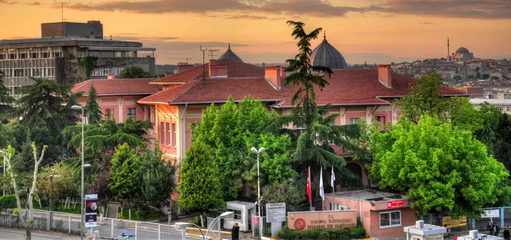 Istanbul University Faculty of Medicine