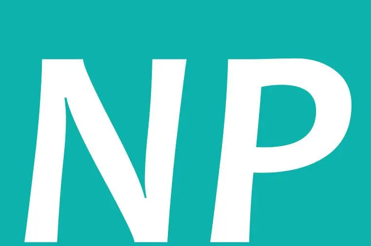 NPİstanbul Brain Hospital logo