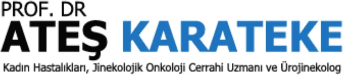 Prof. Dr. Ates Karateke logo
