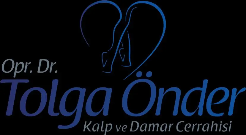 Varis Samsun logo