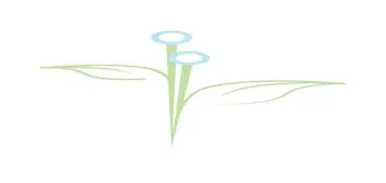Dr. Recep Çelik Muayenehanesi logo