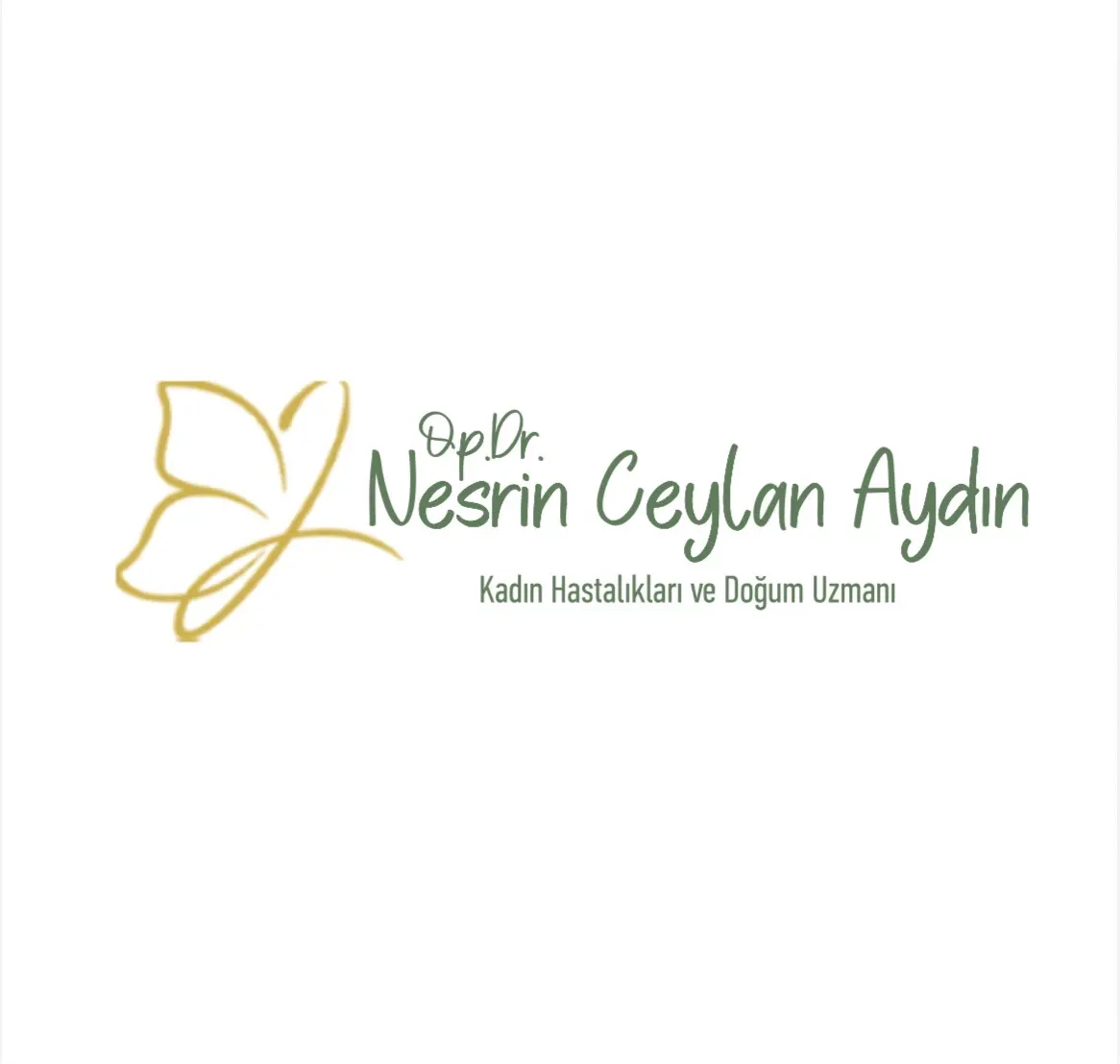 Op. Dr. Nesrin Ceylan Aydın Muayenehanesi logo