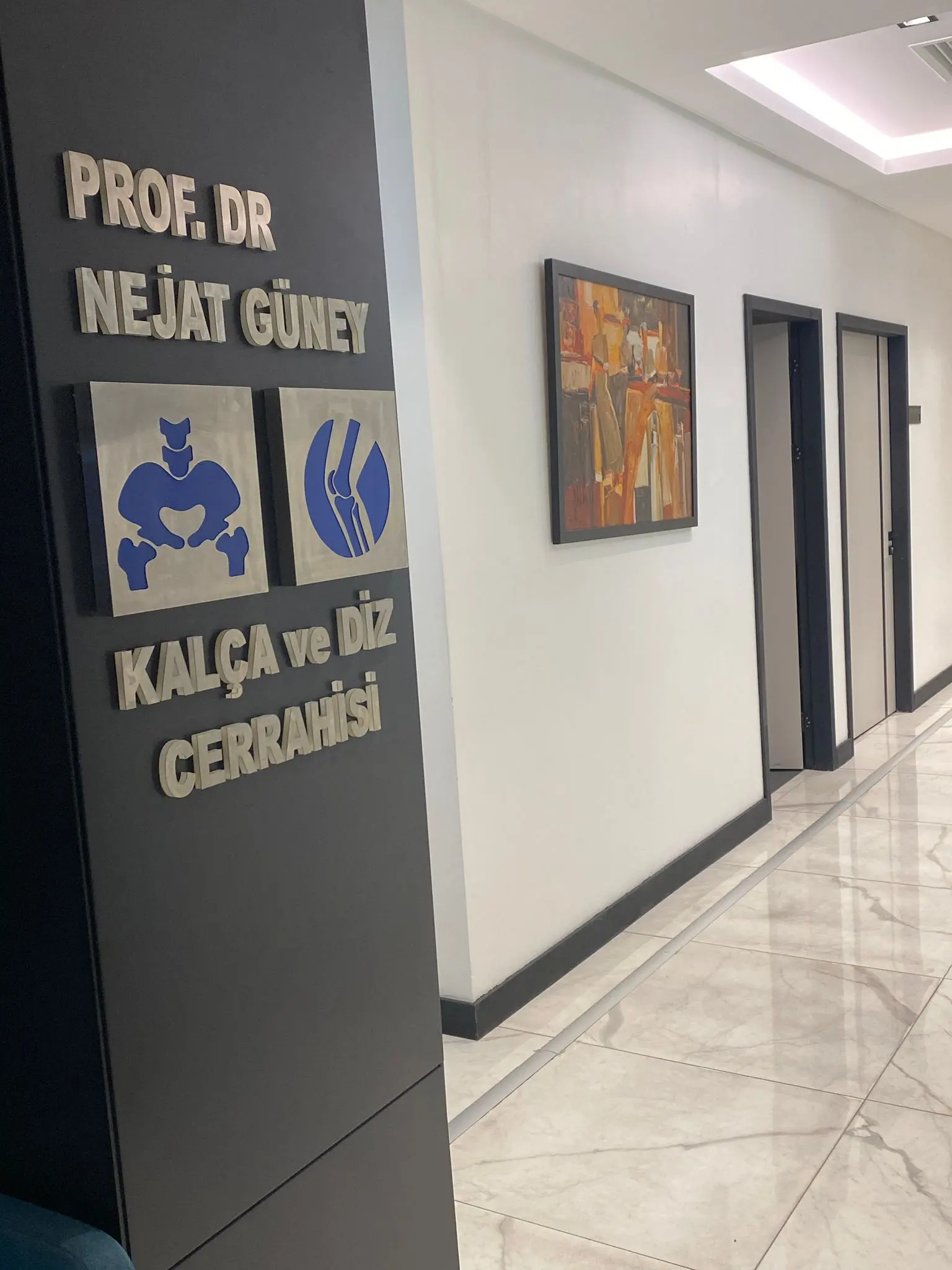 Professor Dr. Nejat Güney logo