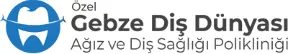 Özel Gebze Diş Dünyası Ağız ve Diş Sağlığı Polikliniği logo