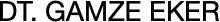 Dt. Hatice Gamze Eker Muayenehanesi logo