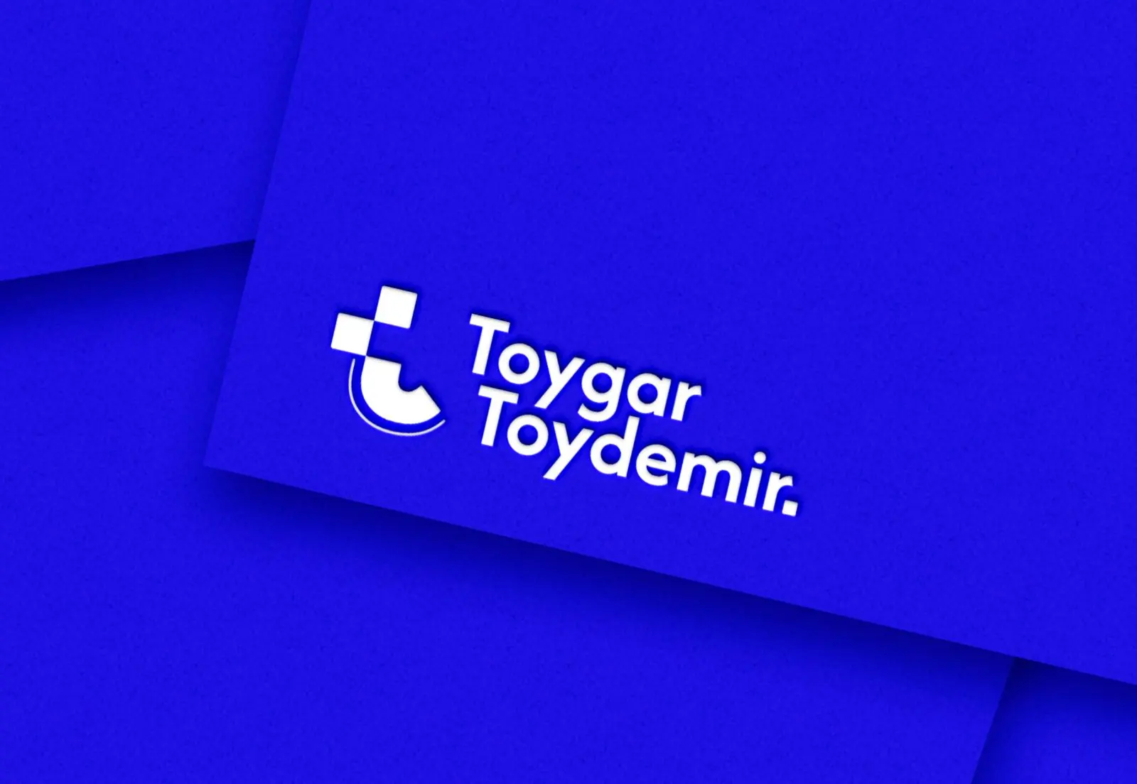 Prof. Dr. Toygar Toydemir logo