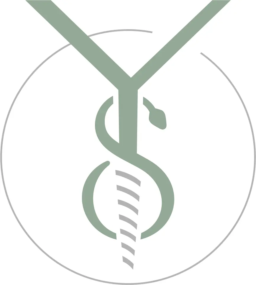 MSc. Dt. Ulaş Solmaz logo