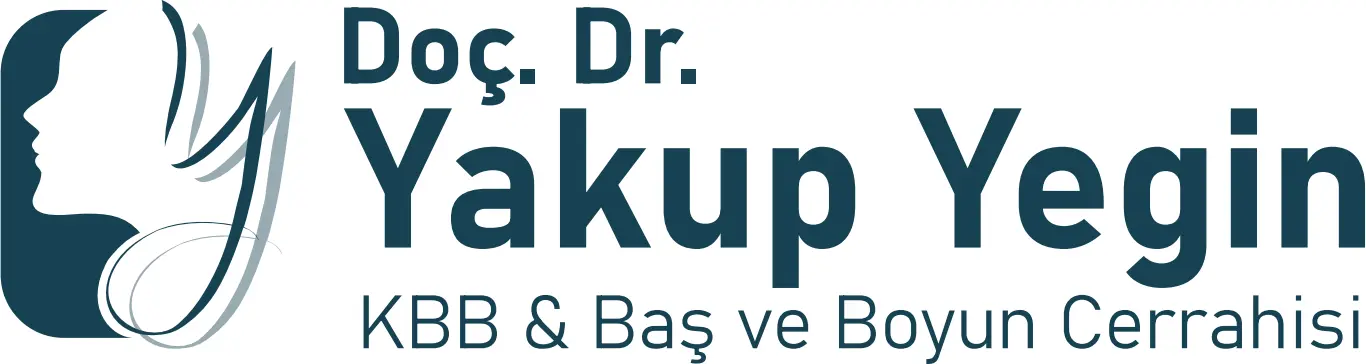 Prof. Dr. Yakup Yegin logo
