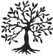 Op. Dr. Burcu Özmen Demirkaya logo
