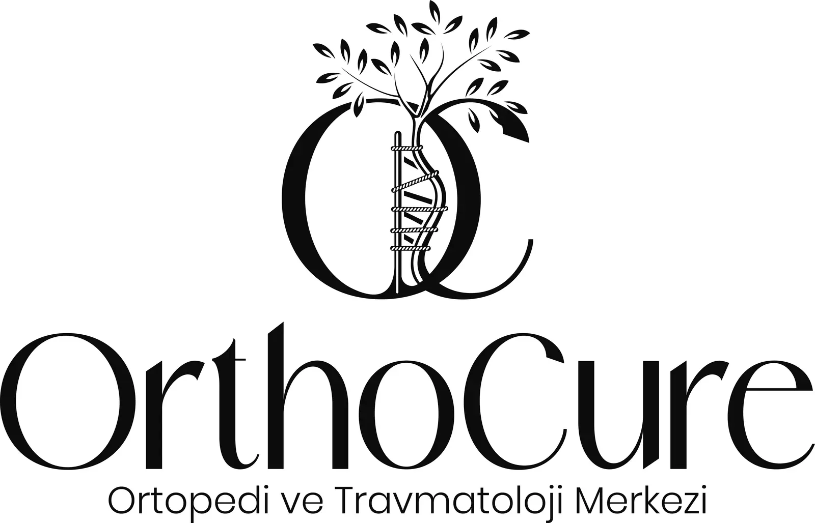 Dr. Muhammet Salih logo