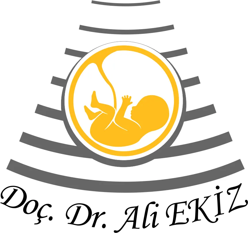Prof. Dr. Ali Ekiz logo
