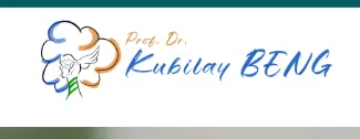 Prof.Dr. Kubilay Beng logo