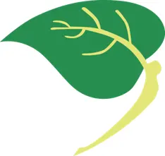 Dr. Hüseyin Nazlıkul Muayenehanesi logo