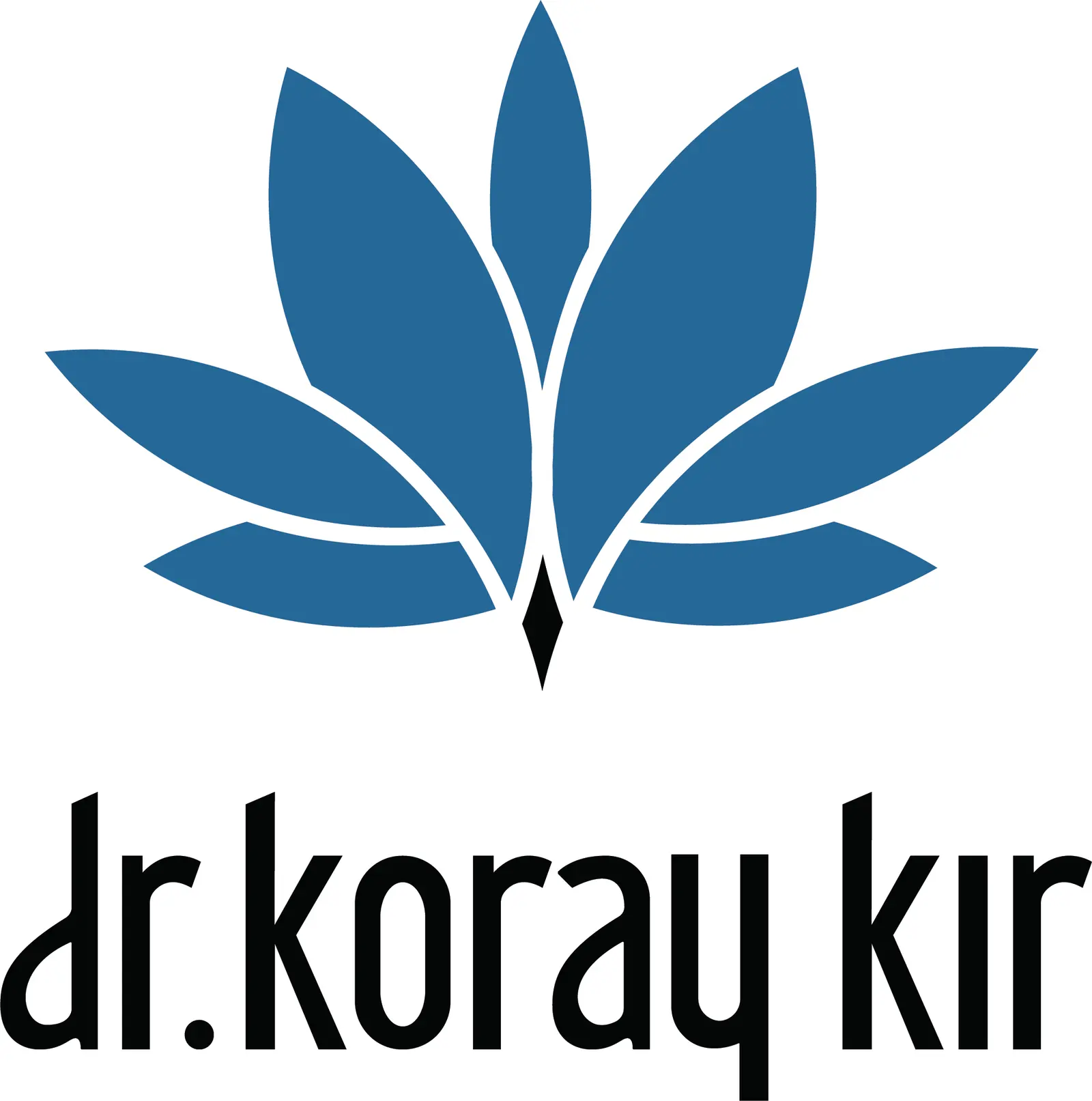 Op. Dr. Koray Kır logo