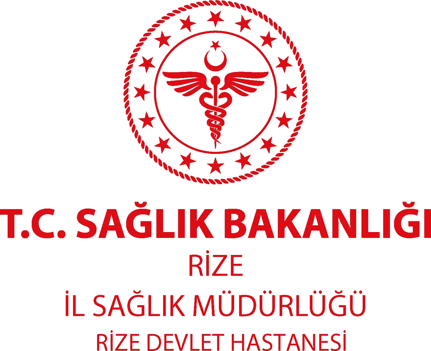 RIZE STATE HOSPITAL logo