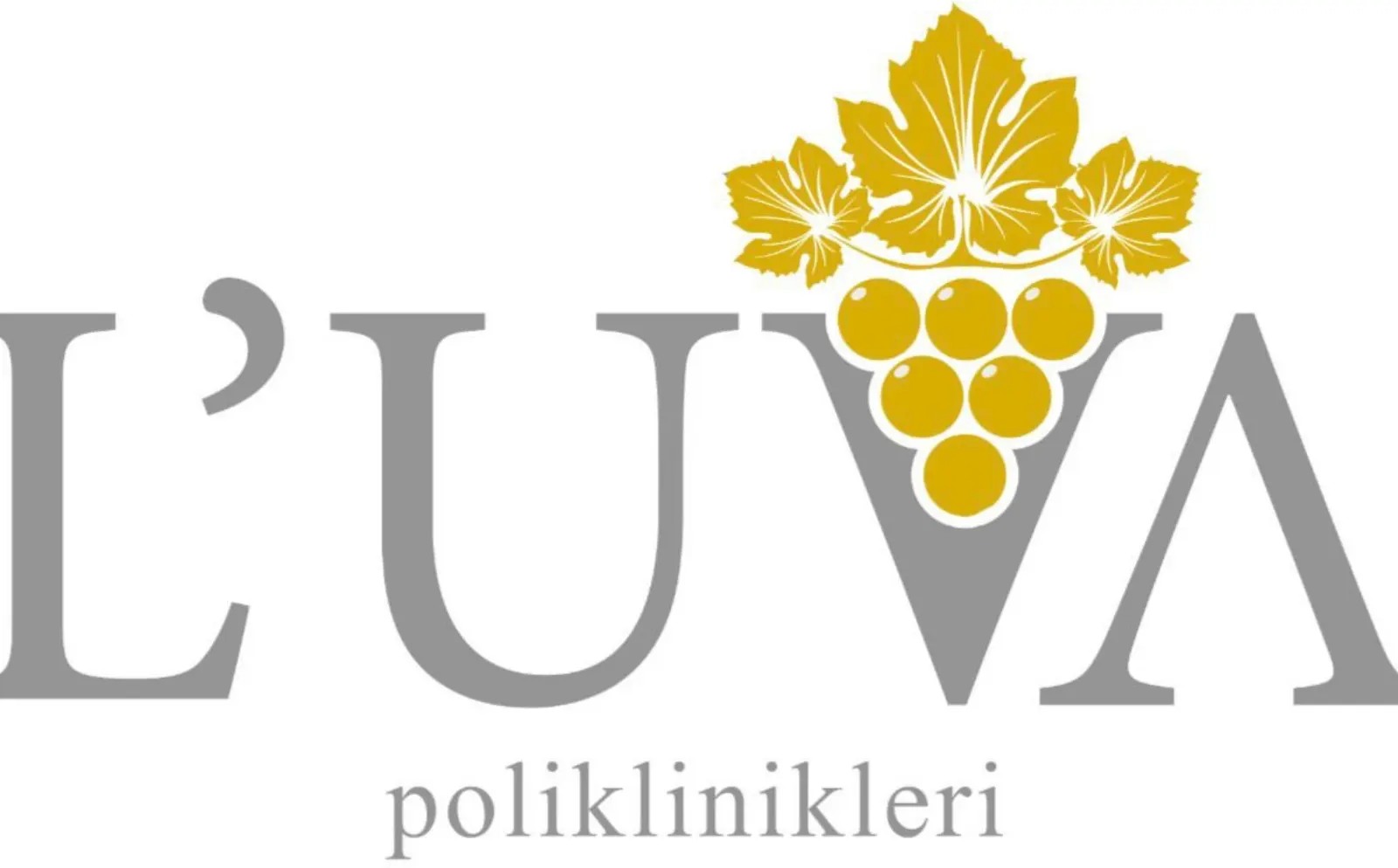 Özel Luva Polikliniği logo