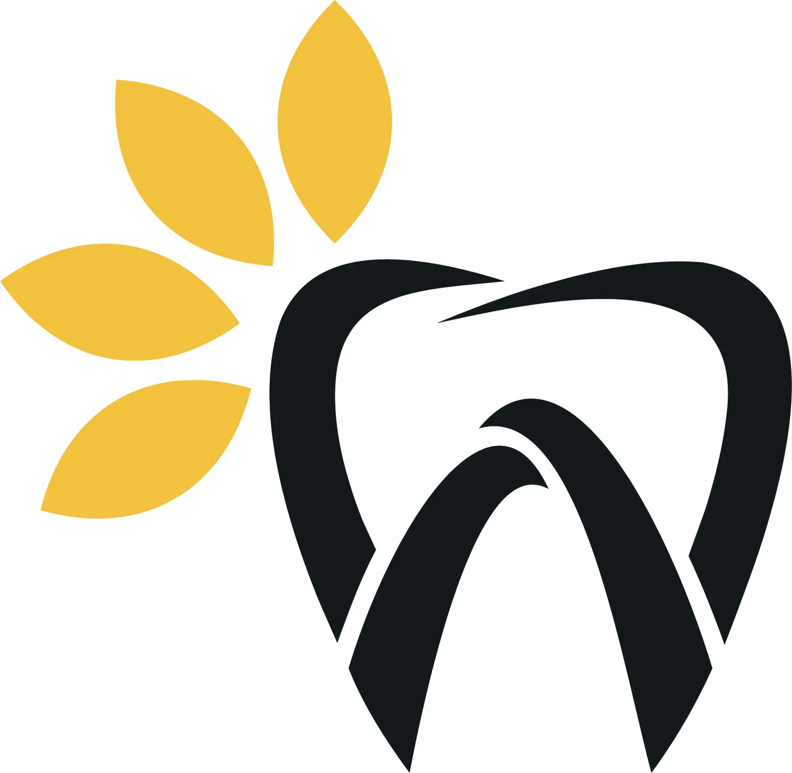 Papatya Dental Hospital logo