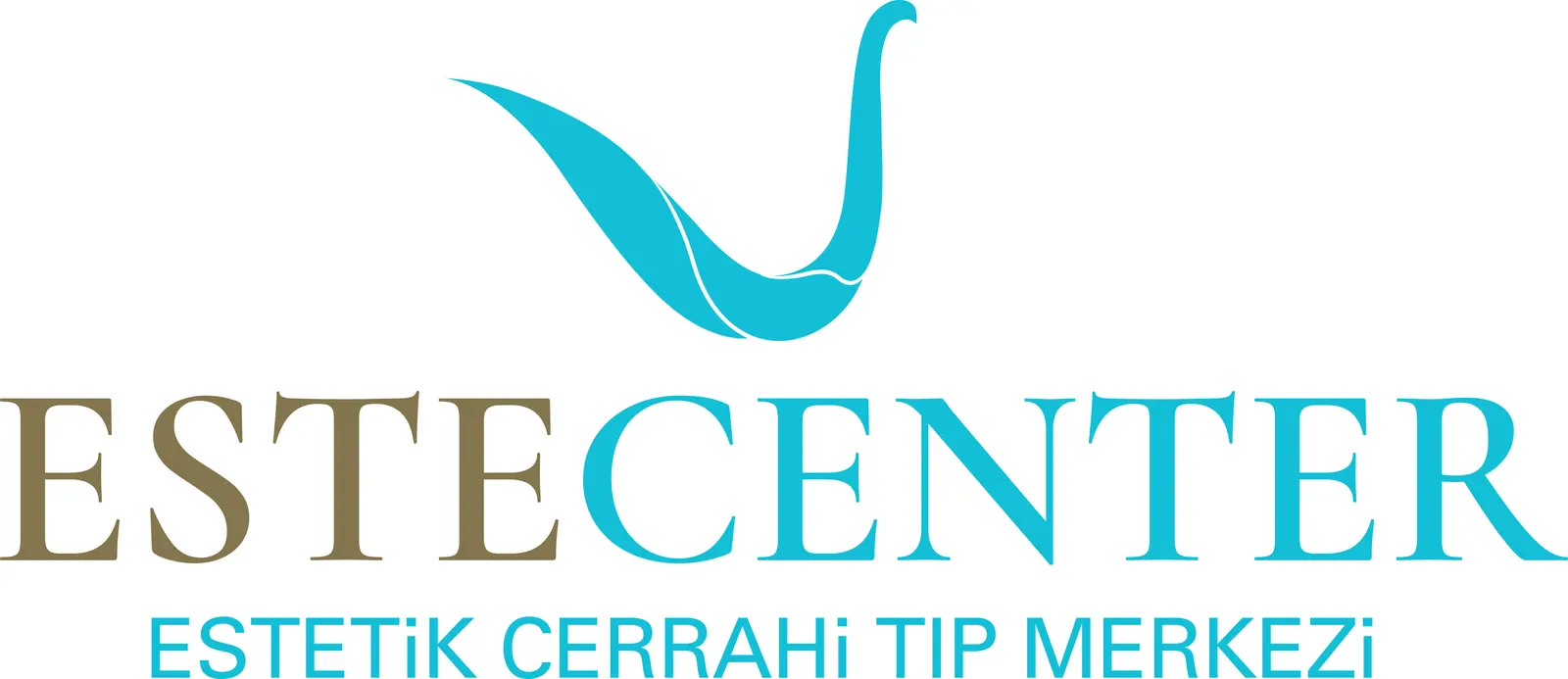 Estecenter logo