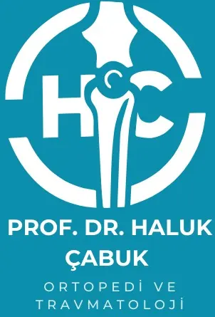 Prof. Dr. Haluk Çabuk logo