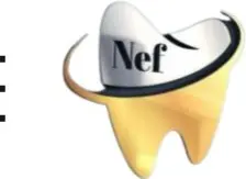 Nefclinic logo