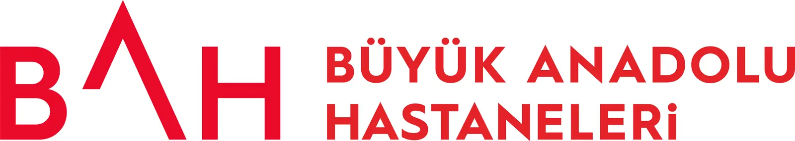 Buyuk Anadolu Hospital logo