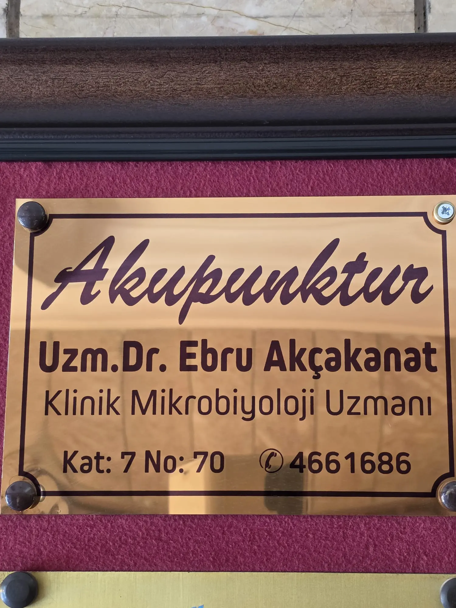 Acupuncture ANKARA Exp. Dr. Ebru AKÇAKANAT