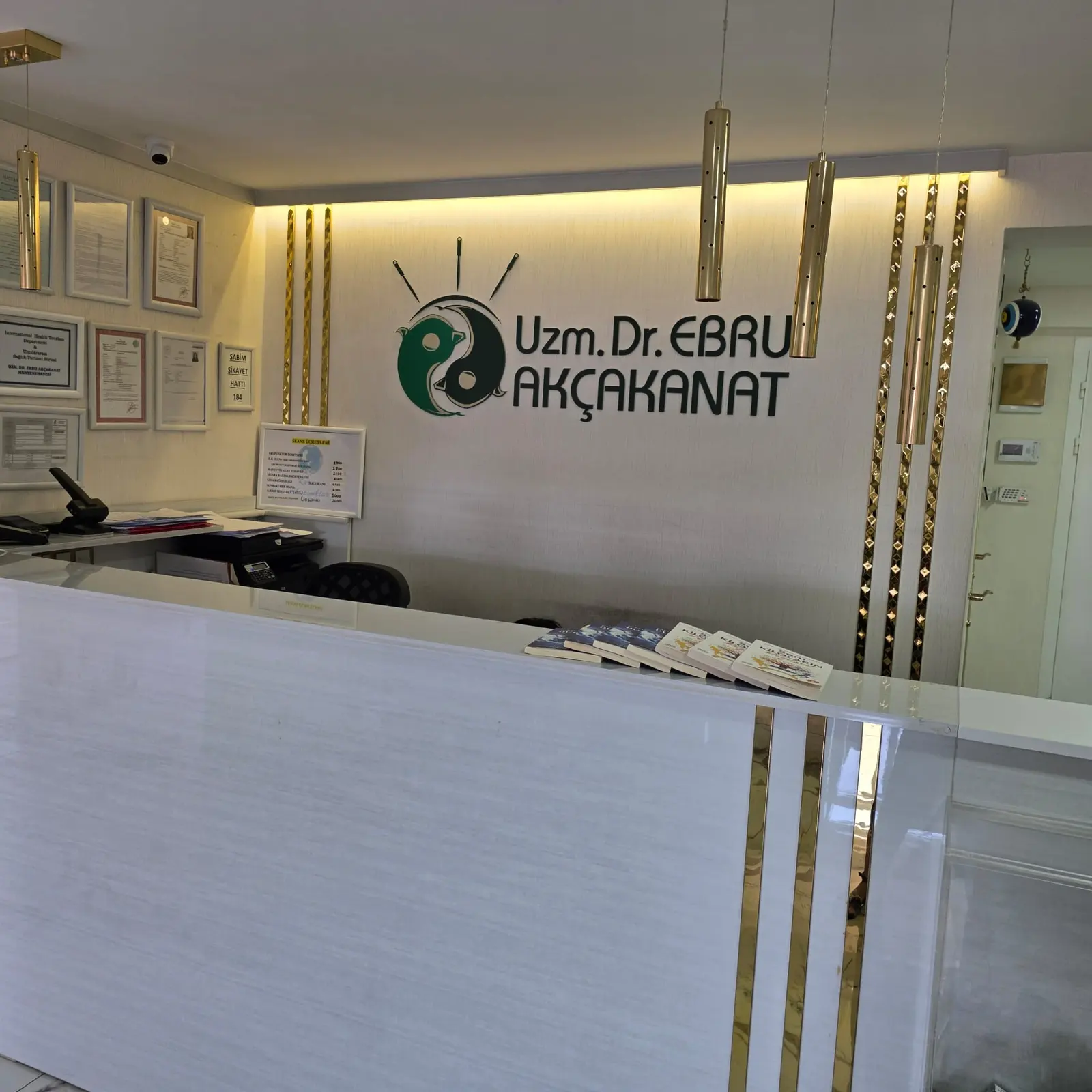 Acupuncture ANKARA Exp. Dr. Ebru AKÇAKANAT