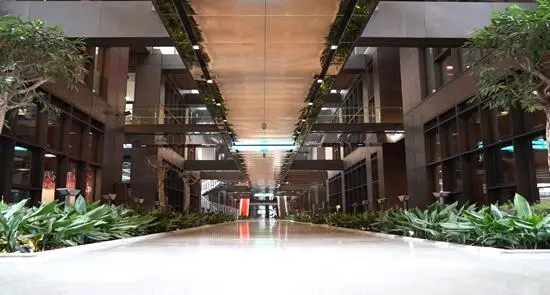 Dr. Ziya Yavuz Clinic