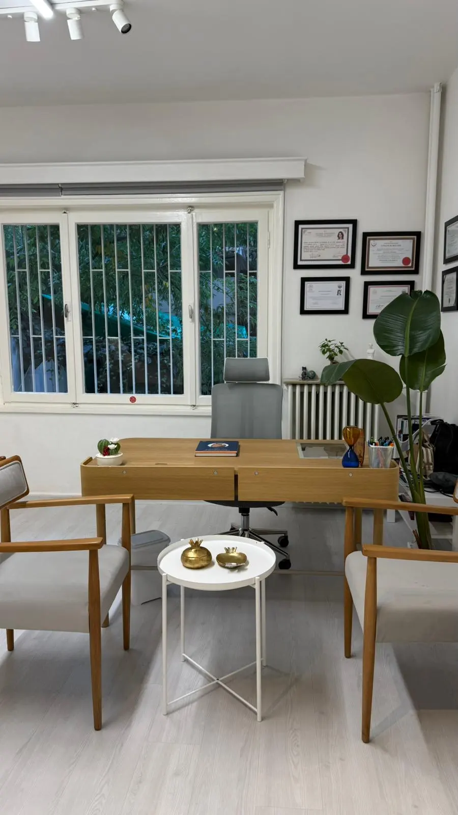 Dr. Ayşe Semiz