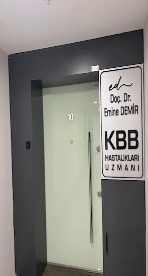 Assoc. Prof. Dr. Emine Demir