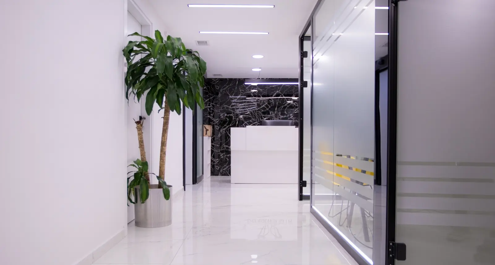 Dental World TR