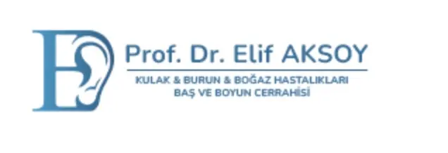 Prof. Dr. Elif Aksoy