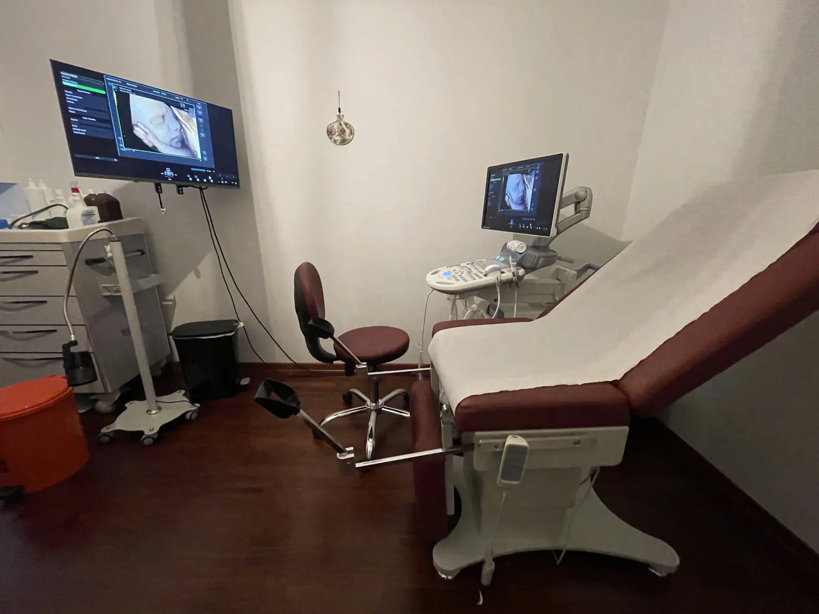 Doç. Dr. Lale Susan Karakış
