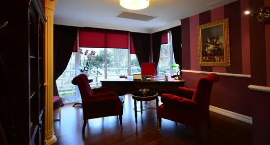 Medallion Psychiatric Center Levent
