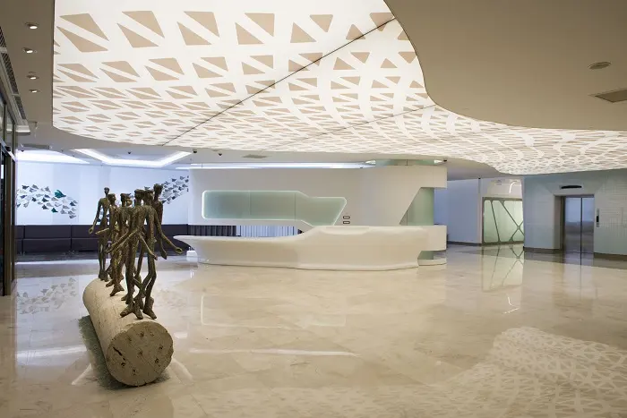 Liv Hospital Ankara