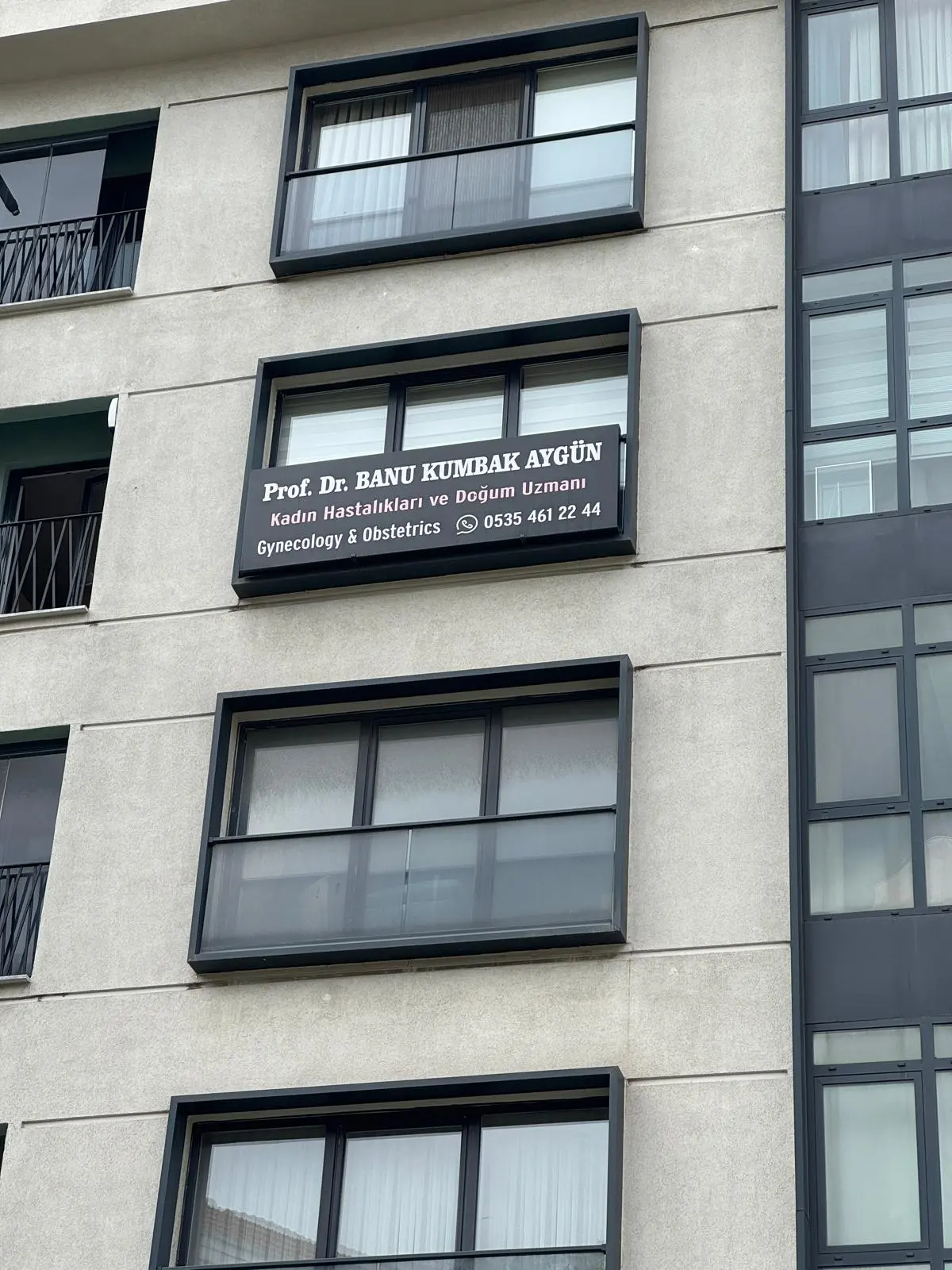 Prof. Dr. Banu Kumbak Aygün