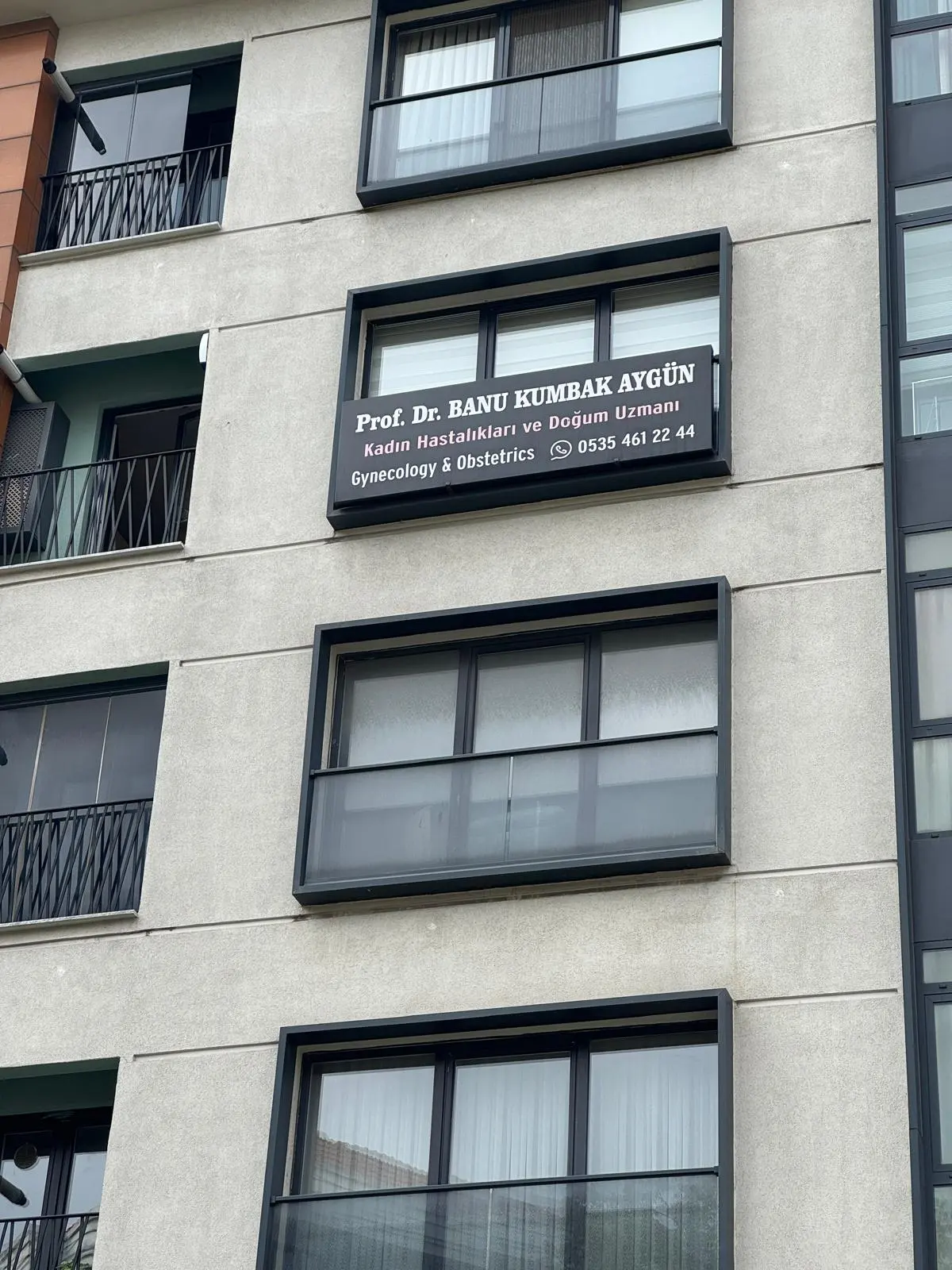 Prof. Dr. Banu Kumbak Aygün