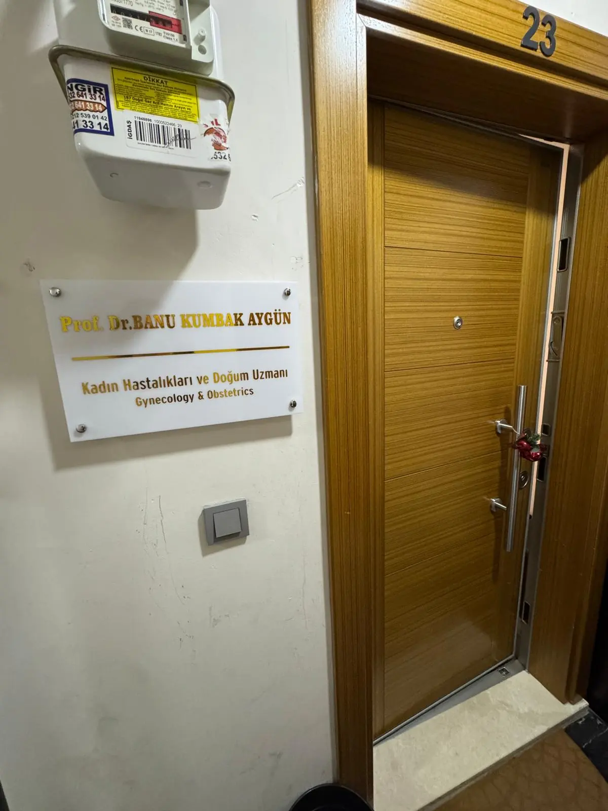 Prof. Dr. Banu Kumbak Aygün