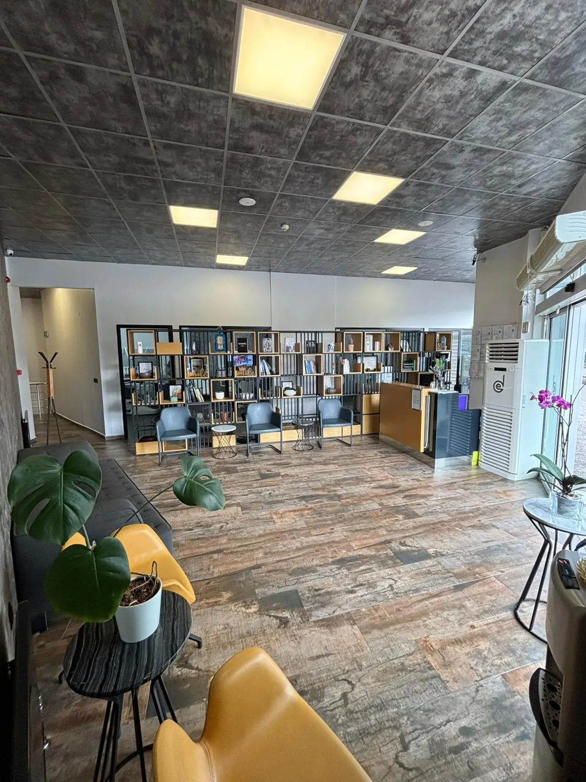 Special ESTETICA DENT Dental Clinic