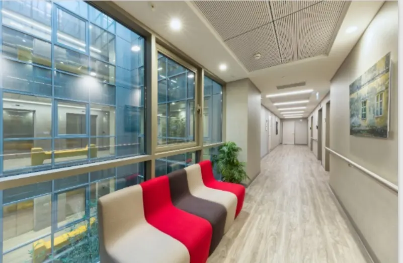 American Hospital