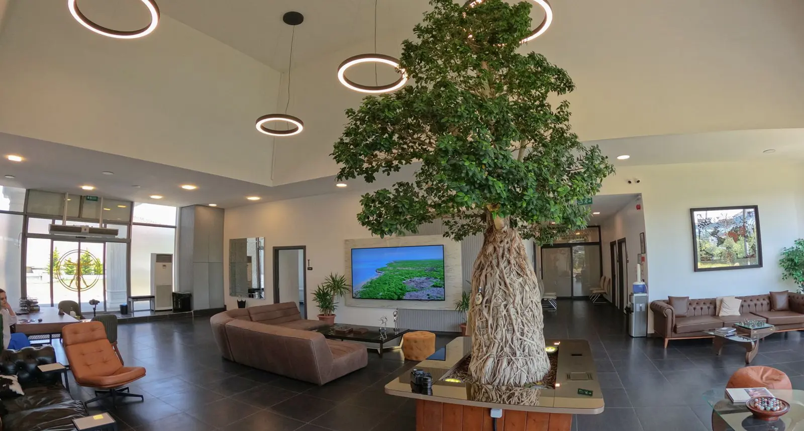 Vitruvian Clinic
