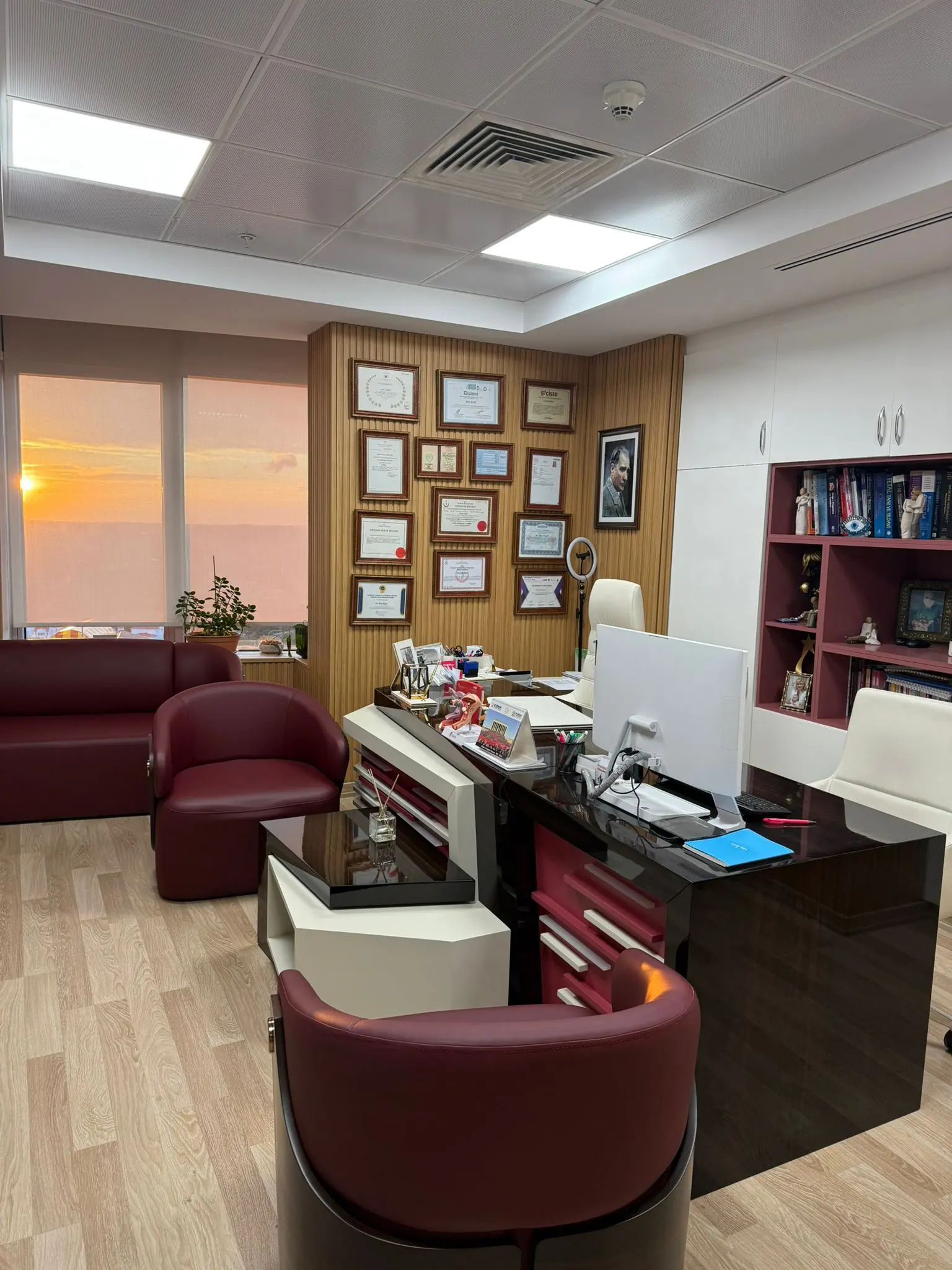 Op. Dr. İrina Ergül