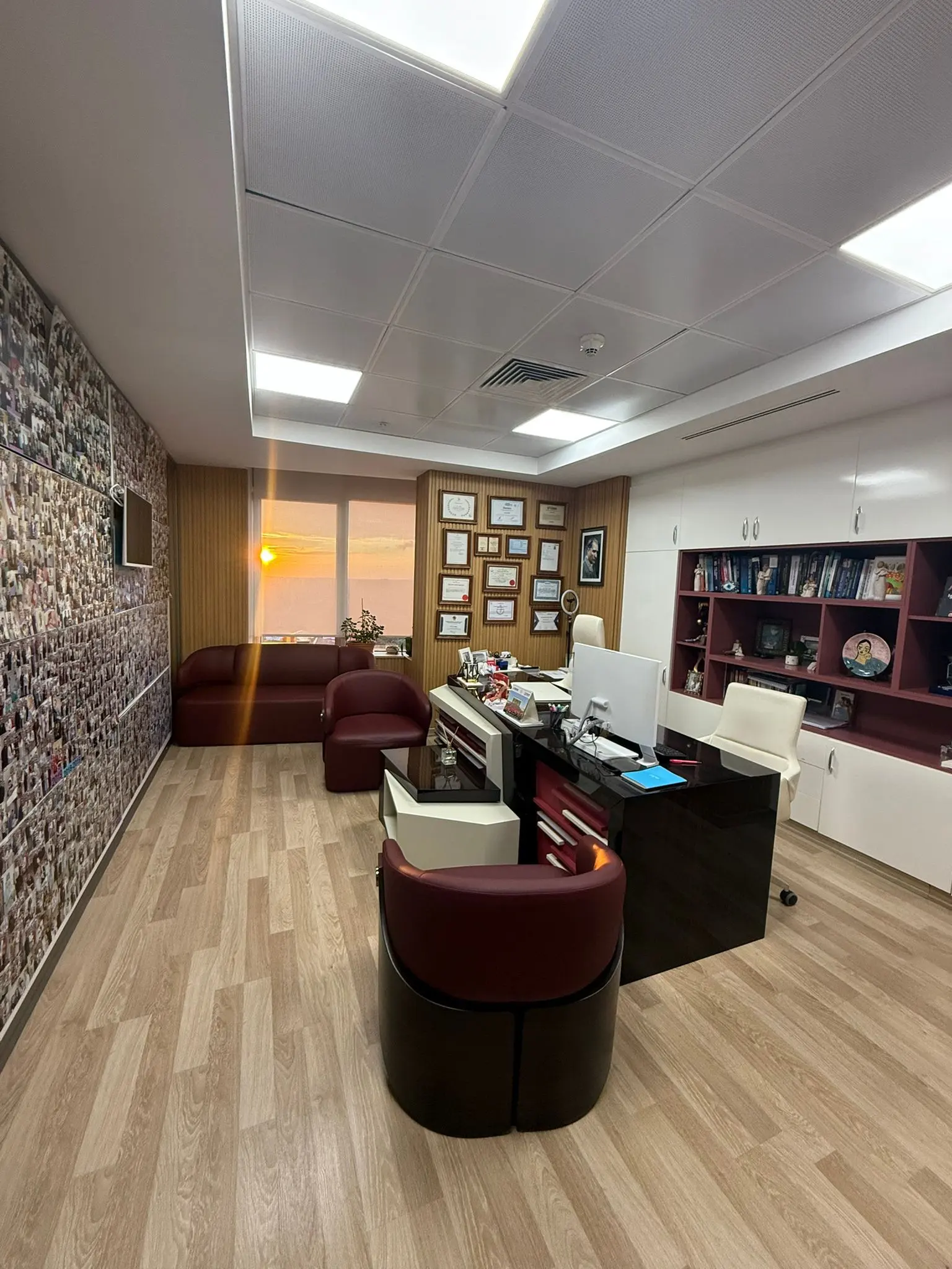 Op. Dr. İrina Ergül
