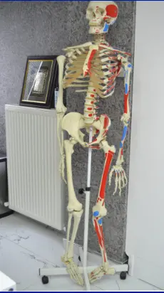 Prof. Dr. Ercan Olcay